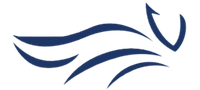 Logo azul